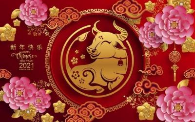 Китайский центр здоровья поздравляет вас с Новым годом по восточному календарю!